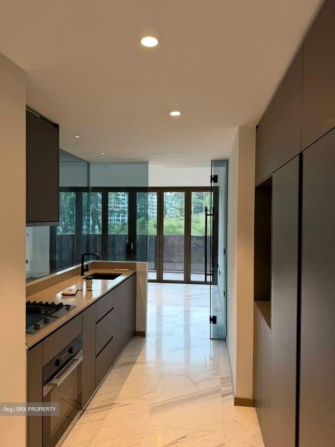 The Landmark (D3), Condominium #565046631